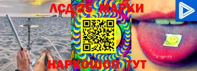 гашик Малоярославец