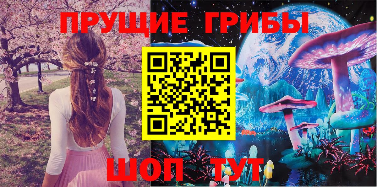 закладки  Галлюциногенные грибы мухоморы  Галлюциногенные грибы MAGIC MUSHROOMS  Вход с VPN  Чайковский 